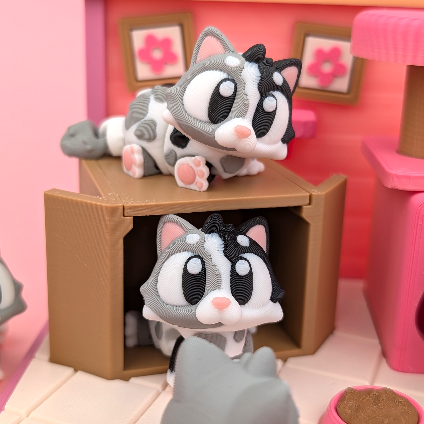 Cat Flexi Set