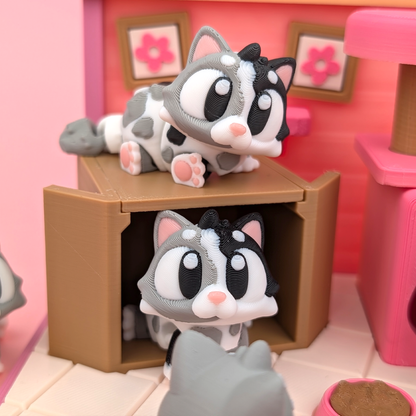 Cat Flexi Set
