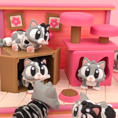 Cat Flexi Set