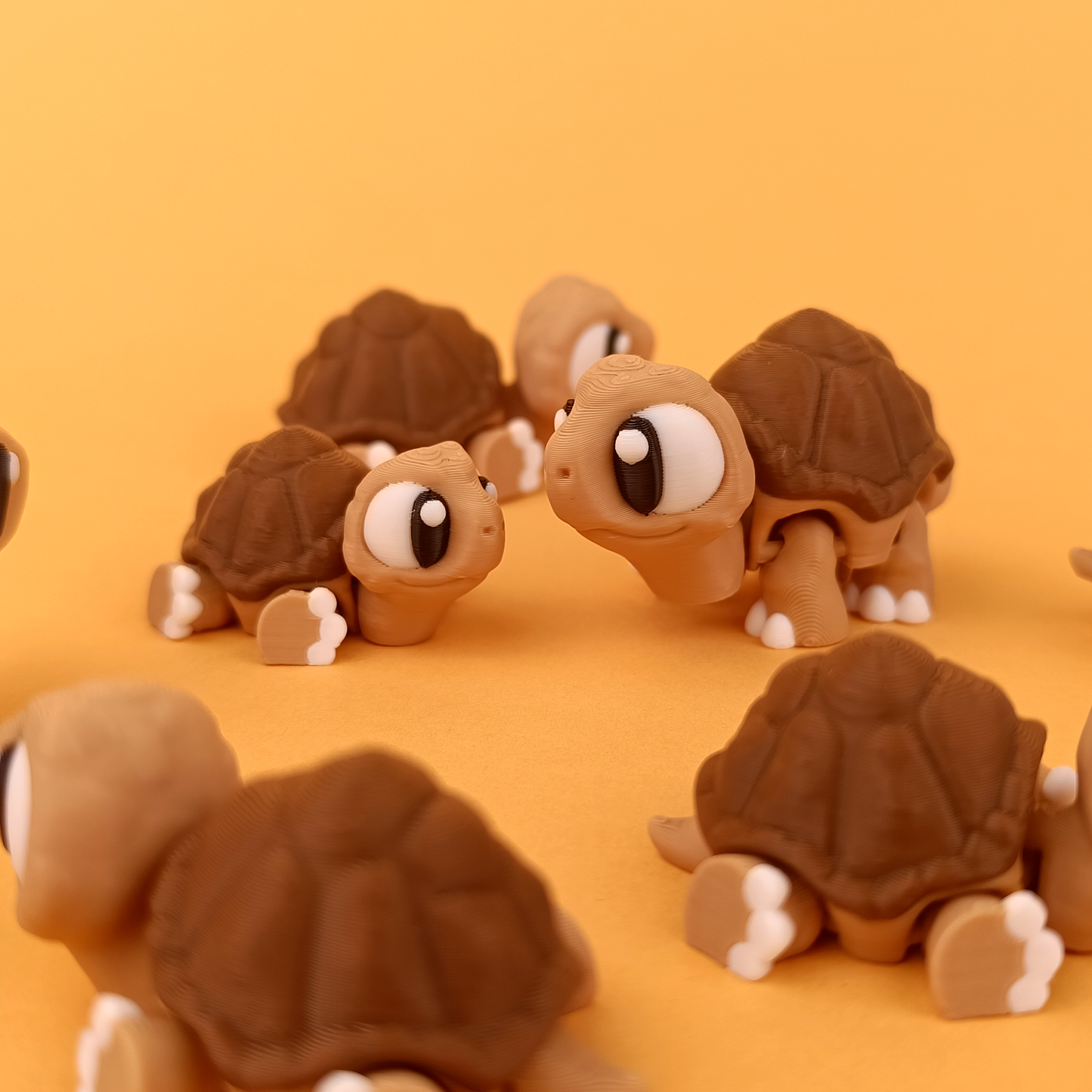 Tortoise Flexi